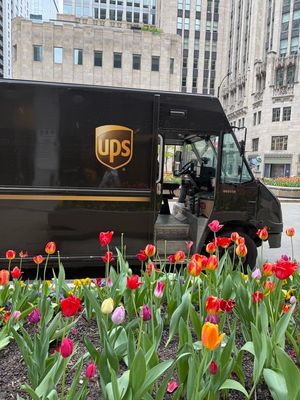 Video post by @ups on TikTok