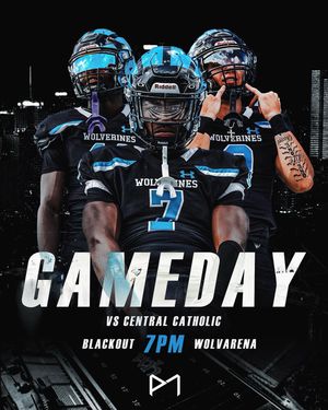 Image post by @woodyhighfb on Instagram