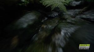 Image post by @evijanjohn on Instagram