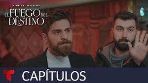 Video post by @telemundo on YouTube