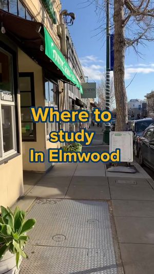 Video post by @ucberkeley on TikTok