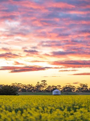 Image post by @visitmelbourne on Instagram