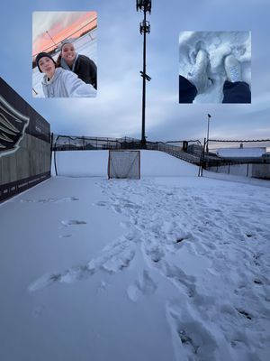 Image post by @queensroyalslax on Instagram