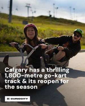 Image post by @curiocitycalgary on Instagram
