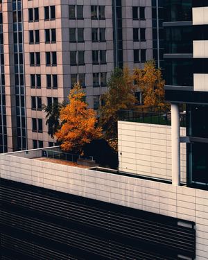 Image post by @kylesheridan_ on Instagram