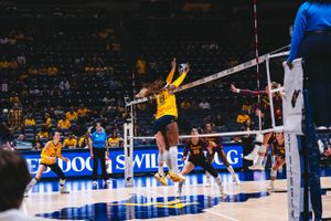 Image post by @wvuvolleyball on Instagram