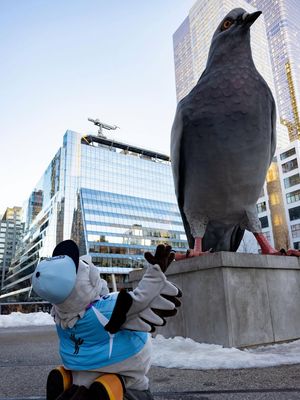 Image post by @skythepigeon on Instagram