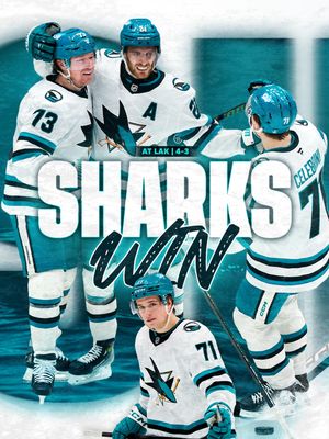 Image post by @sanjosesharks on Instagram