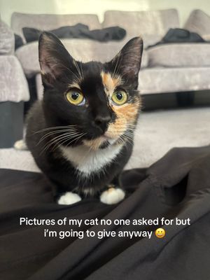 Video post by @thereeaalcamille on TikTok