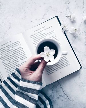 Image post by @kate.simple.life on Instagram