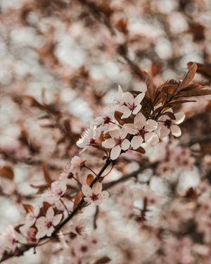 Image post by @kate.simple.life on Instagram