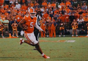 Image post by @cutigervision on Instagram