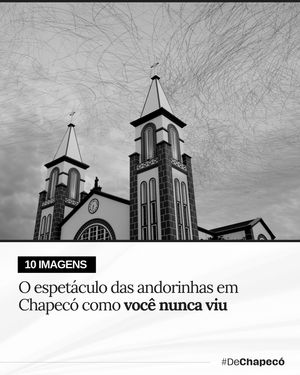 Image post by @dechapeco on Instagram