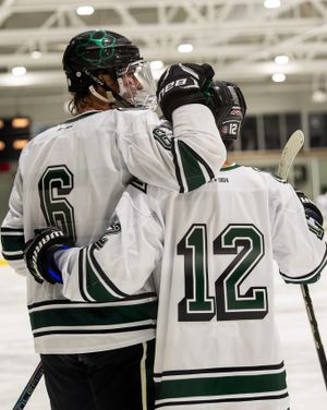 Image post by @ohiohockeyd2 on Instagram