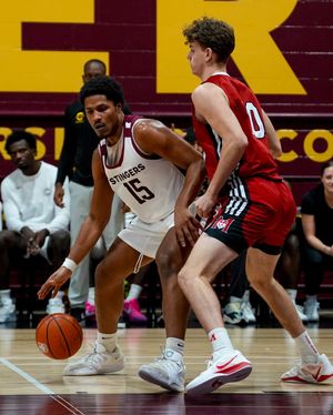 Image post by @the_stingers on Instagram