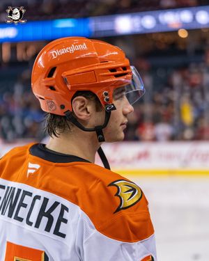 Image post by @anaheimducks on Instagram