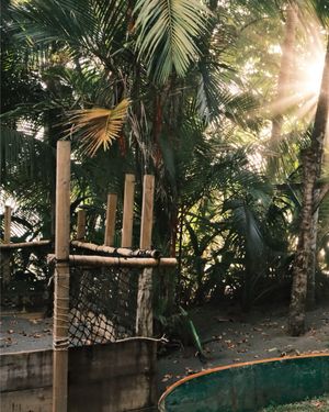 Image post by @benjaminalbuisson on Instagram