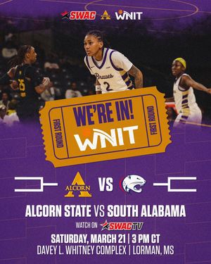 Image post by @theswac on Instagram