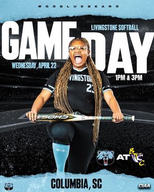 Image post by @bluebearathletics on Instagram