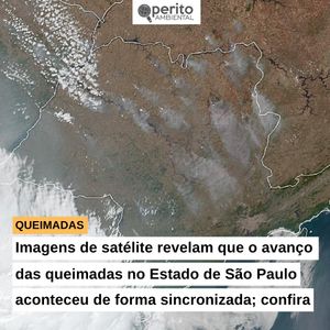 Image post by @operitoambiental on Instagram