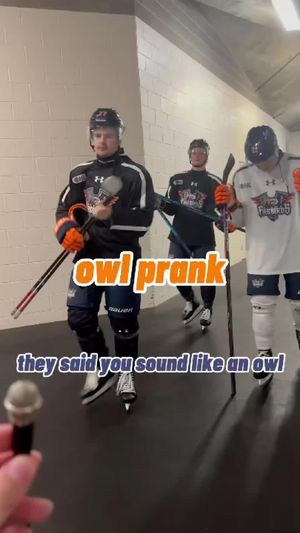 Video post by @flintfirebirdsofficial on TikTok