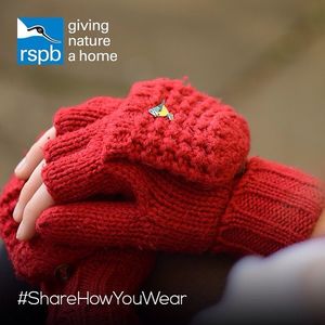 Image post by @rspb on Instagram