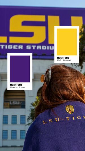 Video post by @lsu on TikTok