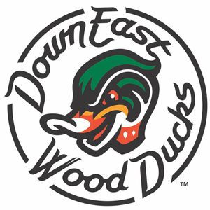 Image post by @gowoodducks on Instagram