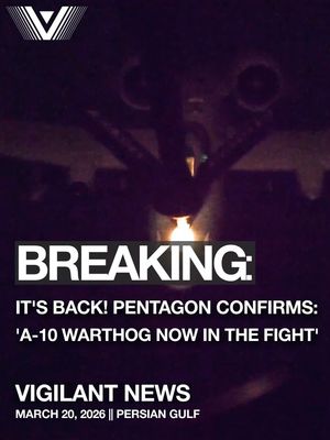 Image post by @thevigilantheroes on Instagram