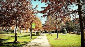 Image post by @marshallu on Instagram