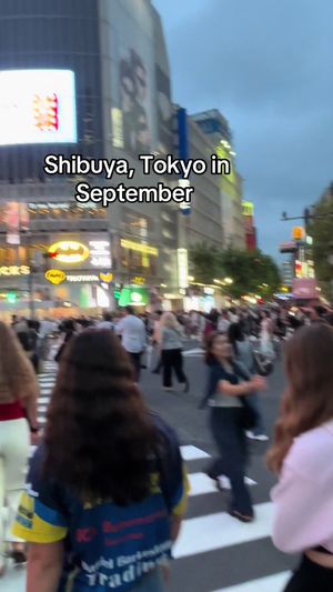 Video post by @txmtravel1 on TikTok