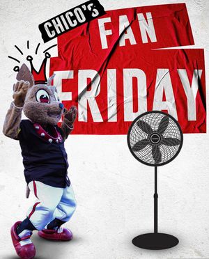 Image post by @chico_epchihuahuas on Instagram