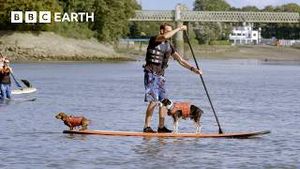 Video post by @bbcearth on YouTube