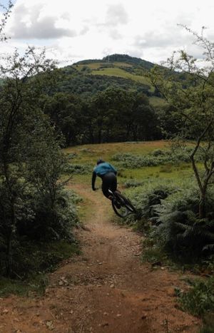 Video post by @vitusbikes on Instagram