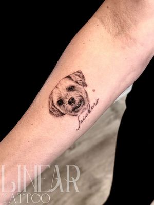 Image post by @christina.lineartattoo on Instagram
