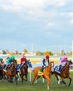 Image post by @pegasusworldcup on Instagram