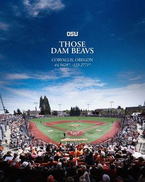 Image post by @mccroskycreative on Instagram