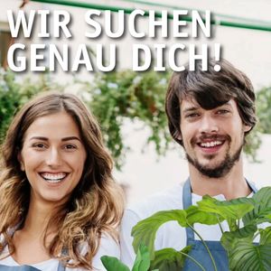 Image post by @oldenburgerwohngarten on Instagram