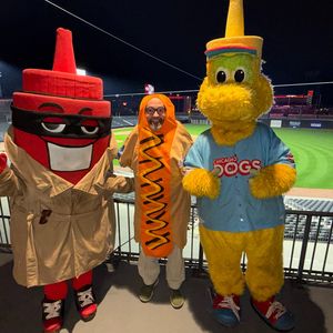 Image post by @thechicagodogs on Instagram