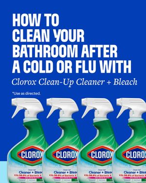 Image post by @clorox on Instagram