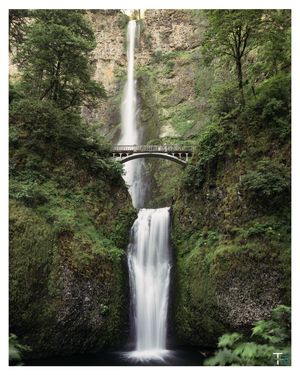 Image post by @ttruongphoto on Instagram