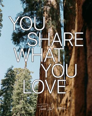 Image post by @pastorednewton on Instagram