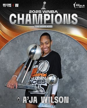 Image post by @wnba on Instagram