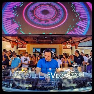 Image post by @marqueelv on Instagram