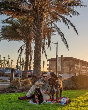 Image post by @jordankahana on Instagram