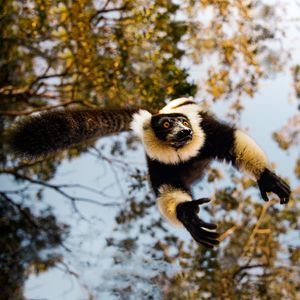 Image post by @bbcearth on Instagram