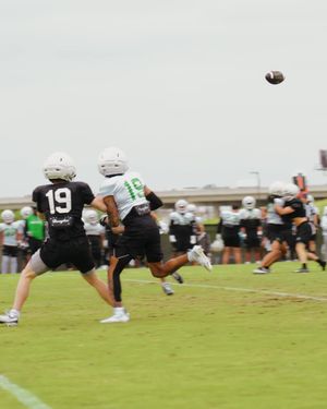 Image post by @meangreenfb on Instagram