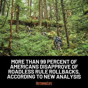 Image post by @outdoor_life on Instagram