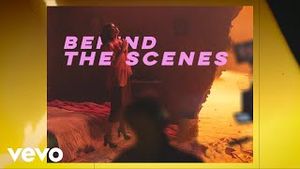 Video post by @jonasbluevevo on YouTube