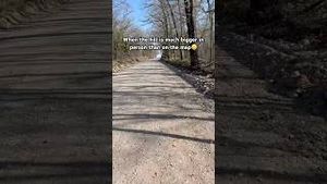 Video post by @perry_b on YouTube